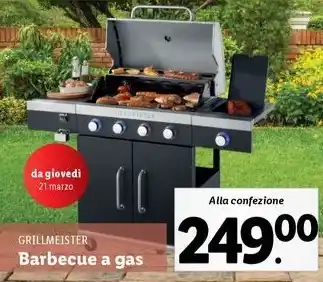 Lidl GRILLMEISTER Barbecue a gas offerta