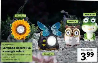 Lidl LIVARNO home Lampada decorativa a energia solare offerta