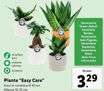 Piante "Easy Care"