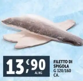 Deco Supermercati FILETTO DI SPIGOLA G 120/160 CA. offerta