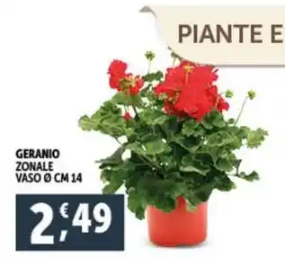 Deco Supermercati GERANIO ZONALE VASO ø CM 14 offerta