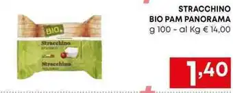 Borello Supermercati STRACCHINO BIO PAM PANORAMA g 100 offerta