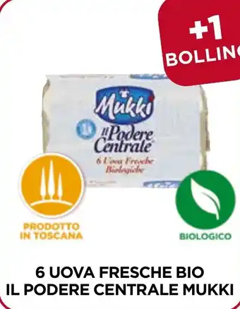 Unicoop 6 UOVA FRESCHE BIO IL PODERE CENTRALE MUKKI offerta