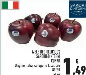 Conad Mele Red offerta