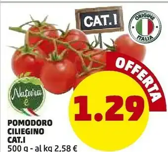 PENNY Pomodori ciliegino offerta