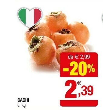 Cachi