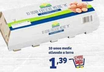 In'S Mercato Uoua medie allevate a terra offerta