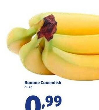 In'S Mercato Banane cavendish offerta