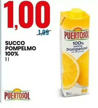 Eurospin 100% succo pompelmo 1000 g(ml) offerta