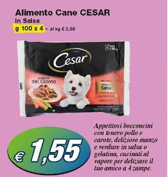 Prix Quality Cesar Alimento Cane 100g x 4 offerta