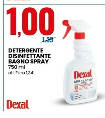 Eurospin Detergente disinfettante bagno spray offerta