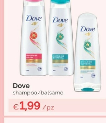 Prodet Shampoo offerta