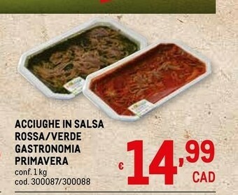 Metro Salsa offerta
