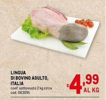 Metro Carne offerta