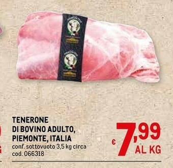 Metro Carne offerta