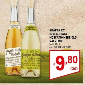 Metro Grappa offerta