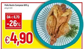 Galassia Pollo busto campese offerta