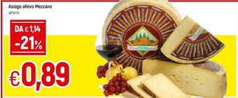 Galassia Asiago allevo mezzano offerta