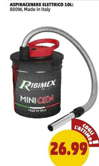 PENNY Aspiracenere elettrico 10l offerta