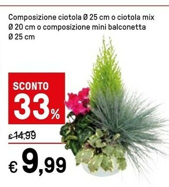 Iper La Grande Piante offerta