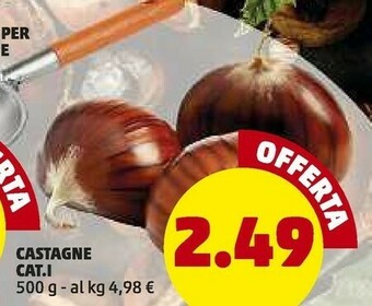 PENNY Penny market castagne offerta