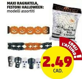 PENNY Maxi ragnatela offerta