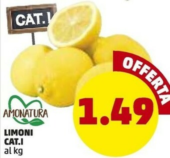 PENNY Limoni offerta