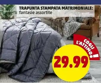 PENNY Trapunta stampata matrimoniale offerta