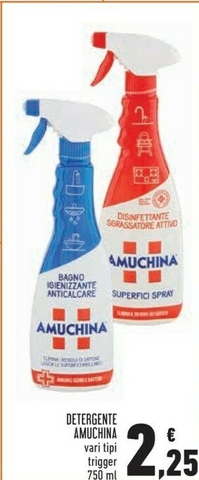 Conad Detergente offerta