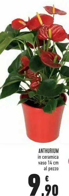 Anthurium in ceramica
