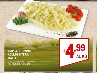 Metro Carne offerta