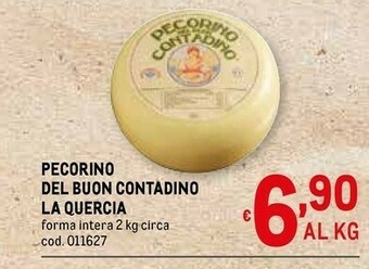 Metro Pecorino offerta