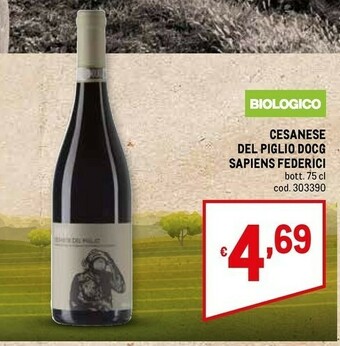 Metro Vino offerta
