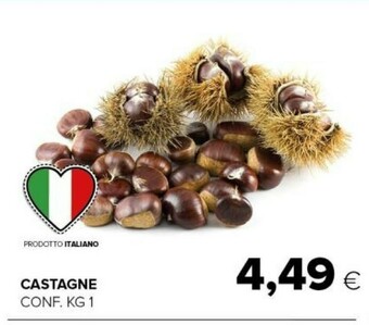 Tigre Castagne offerta