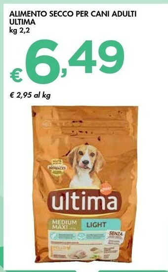 Cibo per cani