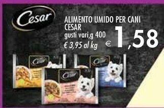 Bennet Cibo per cani offerta