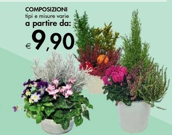 Bennet Piante offerta