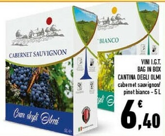 Conad Cantina degli olmi cabernet sauvignon offerta