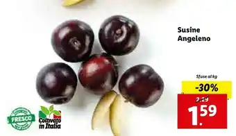 Lidl Susine angeleno offerta