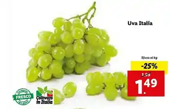 Lidl Uva italia offerta