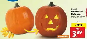 Lidl Halloween offerta