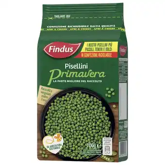 FINDUS