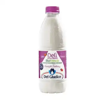 DEL GIUDICE