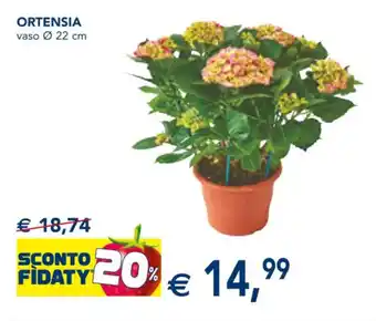 Esselunga ORTENSIA vaso Ø 22 cm offerta