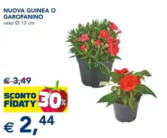 Esselunga NUOVA GUINEA O GAROFANINO vaso Ø 13 cm offerta