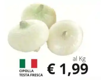 Supermercati Visotto CIPOLLA TESTA FRESCA offerta