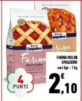 Farina pasticceria con farina tipo 2 e germe di grano 1000 g(ml)