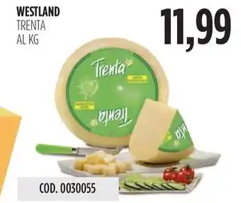 Carico Cash & Carry WESTLAND TRENTA AL KG offerta