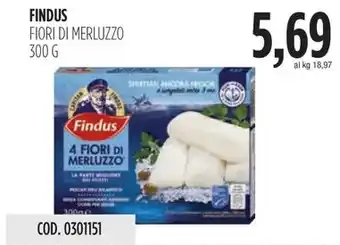 Carico Cash & Carry FINDUS FIORI DI MERLUZZO offerta