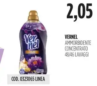 Carico Cash & Carry VERNEL AMMORBIDENTE CONCENTRATO 48/46 LAVAGGI offerta